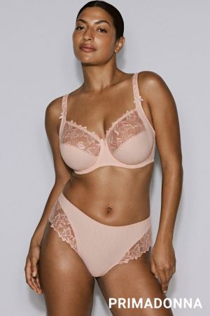 0161811 VEN Venus