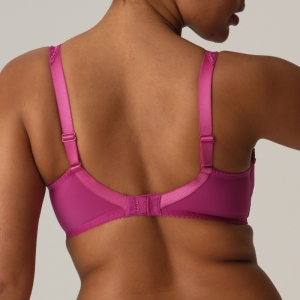 0162120 fuchsia fiesta