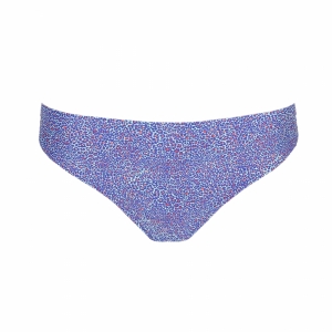 Jacaranda blue nomad