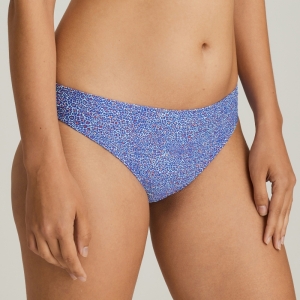 Jacaranda blue nomad