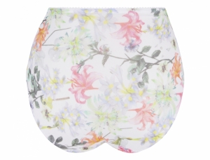 BCG0326 pastel iris