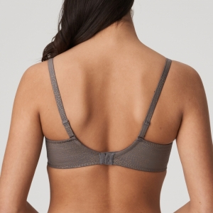 0241900 kitten grey