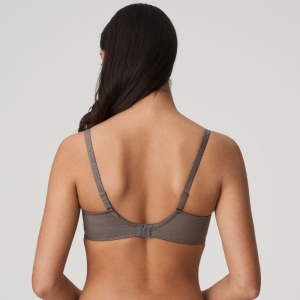0241900 kitten grey