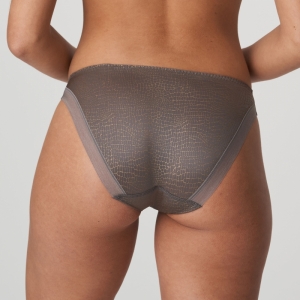 0541900 kitten grey