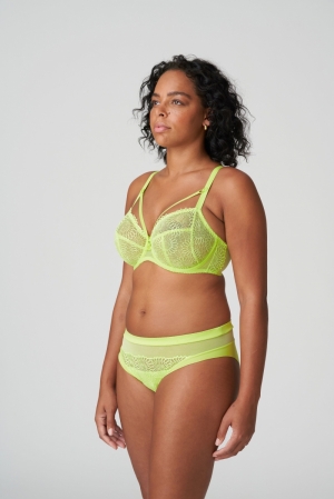 Sophora lime crush 