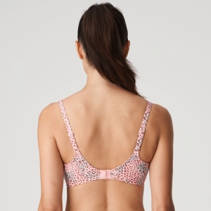 Livadi summer rose 