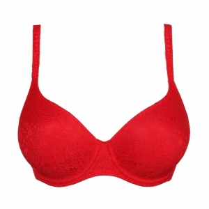 0241970 rood  