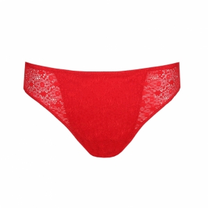 0541970 rood