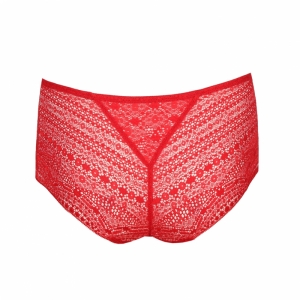 0541972 rood