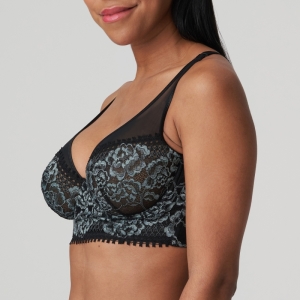 Rose sauvage  ZWA Zwart