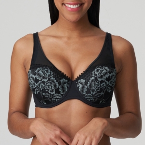 Rose sauvage  ZWA Zwart