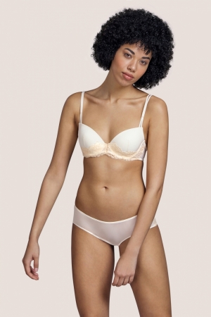 3308516 vintage natuur