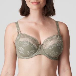 0162760 BTQ Botanique