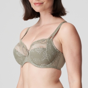 0162760 BTQ Botanique