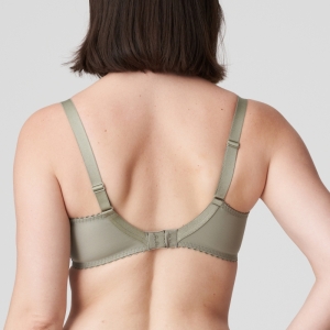 0162760 BTQ Botanique