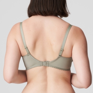 0162764 BTQ Botanique