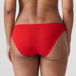 0502570 rood