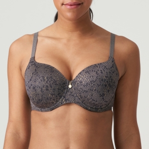 0242130 kitten grey