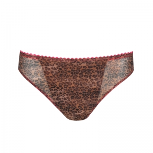 0542170 cheetah