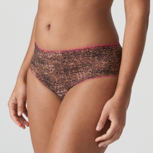 0542171 cheetah