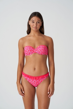 1005818 deep sea coral
