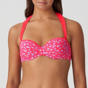 1005818 deep sea coral
