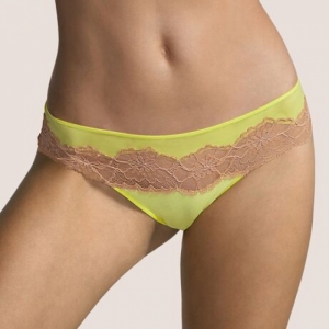 3308555 blazing yellow