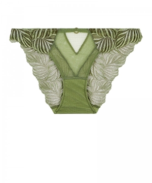 LF27 amazonia