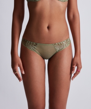 LF27 amazonia
