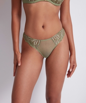 LF26 amazonia