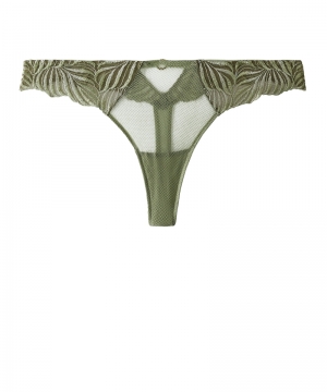 LF26 amazonia