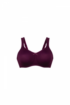 5785X plum