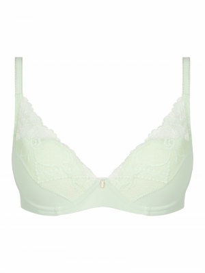 C17Q20 green lily