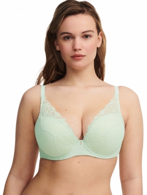 C17Q20 green lily