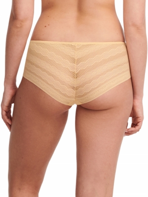 C91840 sunflower yello
