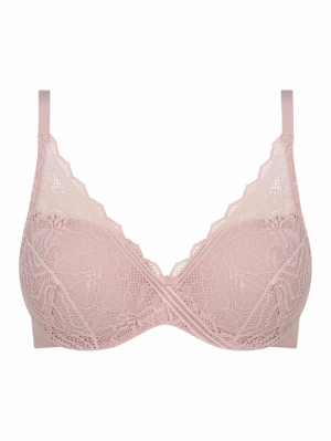 C94260 English rose