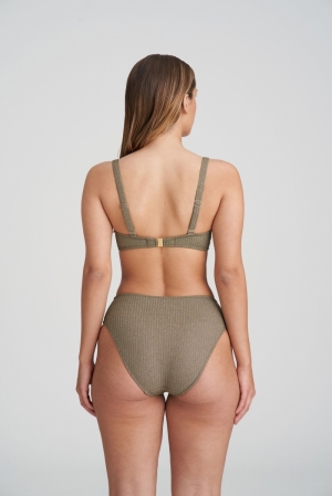 1006916 golden olive