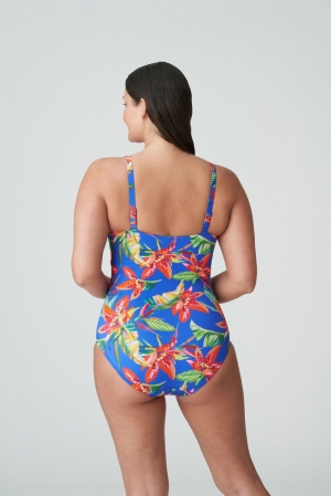 4011130 tropical rainfo