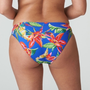 4011150 tropical rainfo