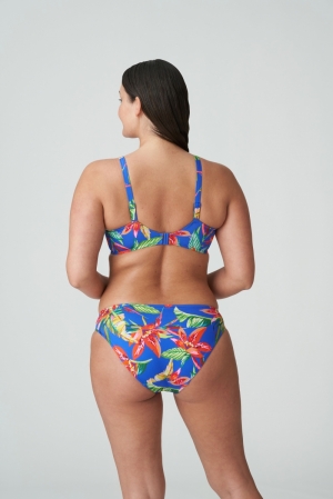 4011150 tropical rainfo