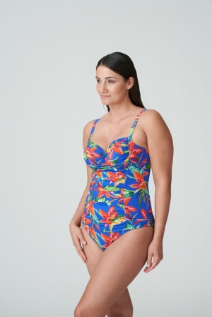 4011170 tropical rainfo
