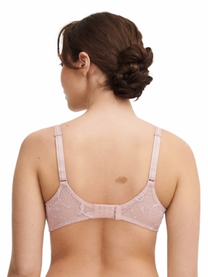 C21U20 english rose