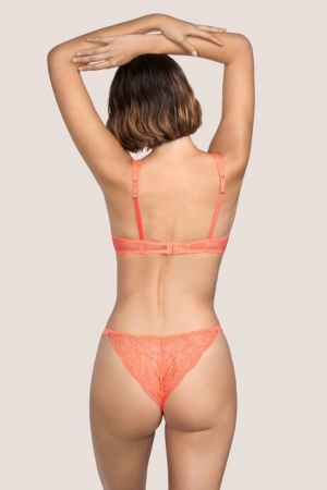 3308310 Papaya