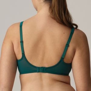 0242330 jasper green