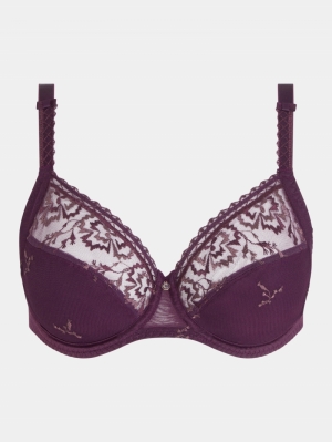 C16B10 aubergine shade
