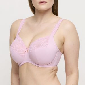 0163530 Spring rose