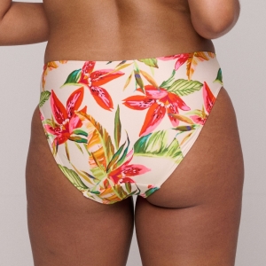 4012750 Calm tropics