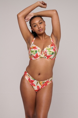 4012750 Calm tropics