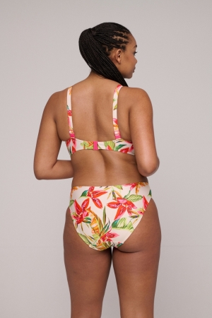 4012750 Calm tropics