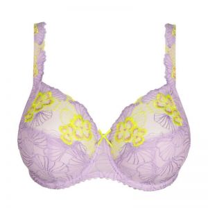 0163600 Wisteria